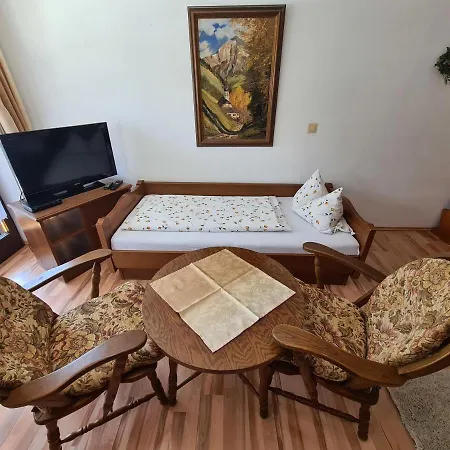 Guest house Alpenpension Bergidyll